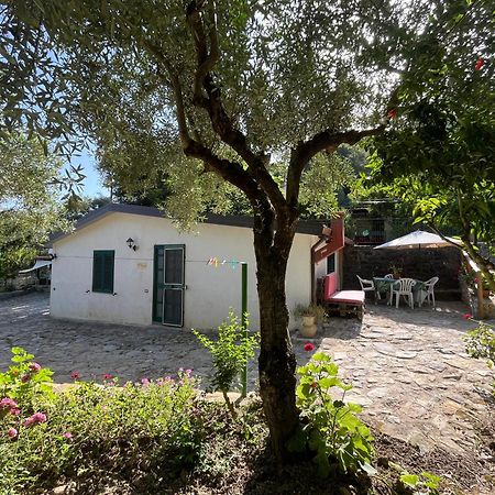 Casa Vacanze Alfano Ascea Extérieur photo