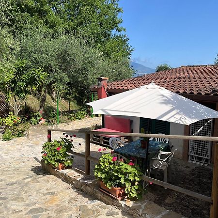 Casa Vacanze Alfano Ascea Extérieur photo