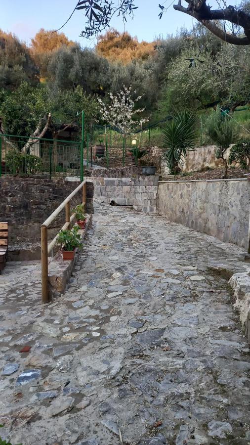 Casa Vacanze Alfano Ascea Extérieur photo