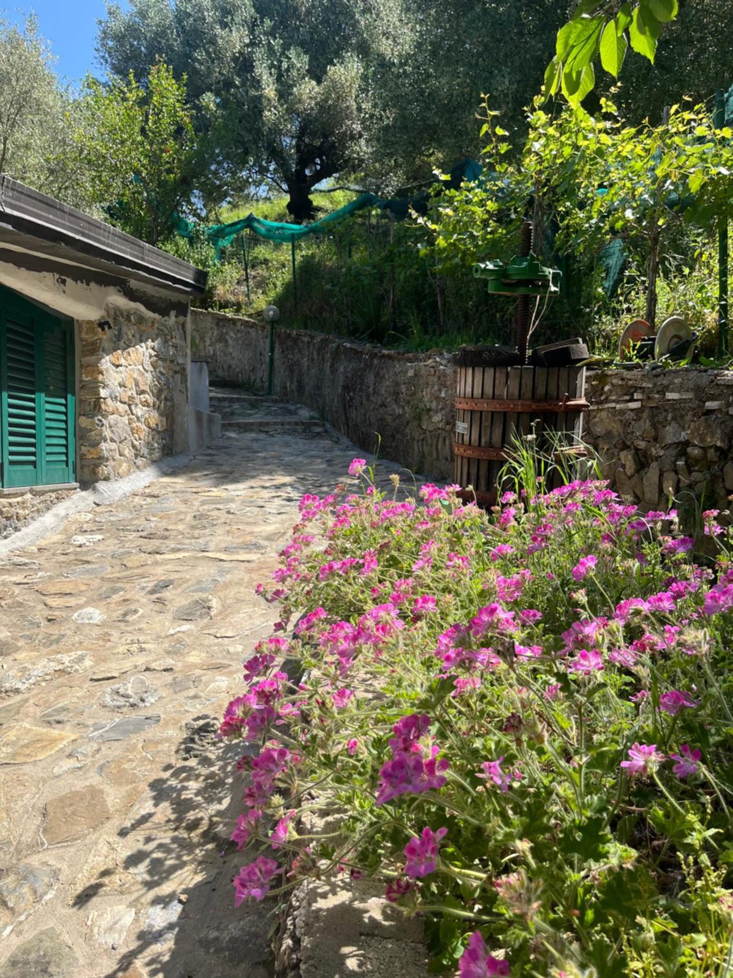 Casa Vacanze Alfano Ascea Extérieur photo