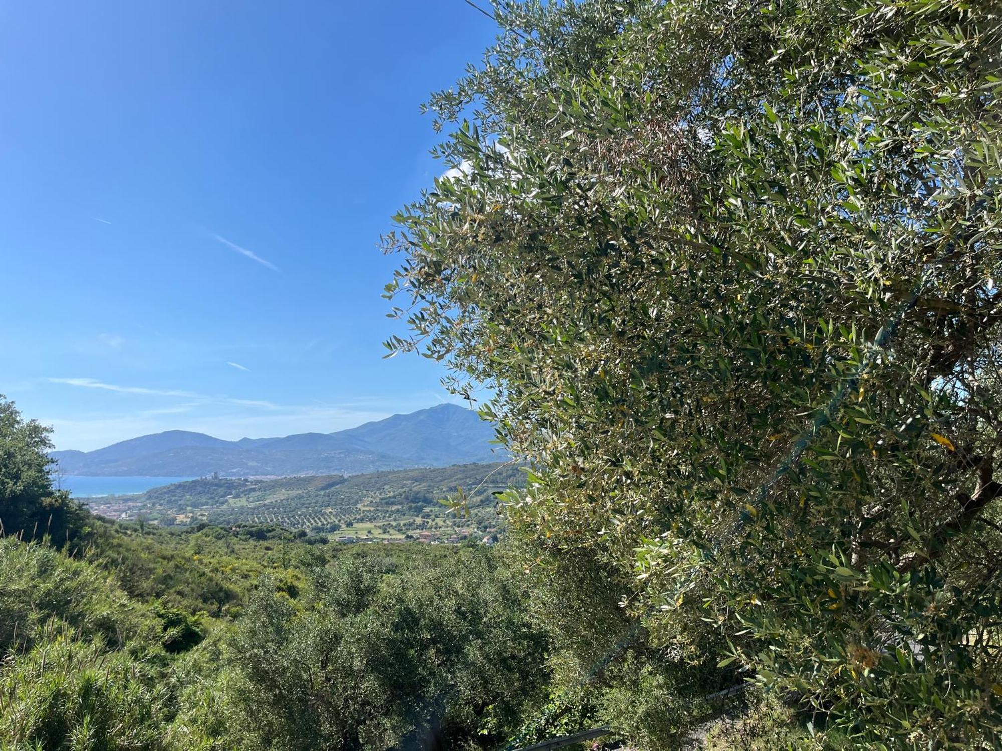 Casa Vacanze Alfano Ascea Extérieur photo
